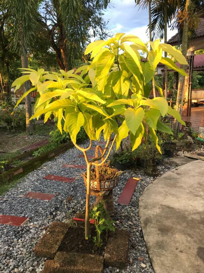 Apartament Grandma'S House Nakhon Nayok Zewnętrze zdjęcie